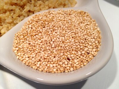 Food healthy vegetarian