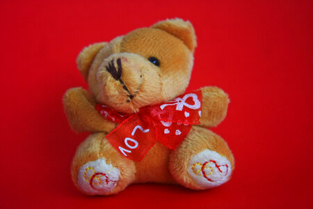 Teddy Bear Cute Love