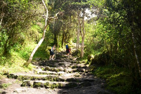 Inca trail to Machu Picchu, Cusco, Peru photo