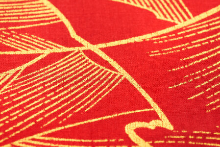 Red and Gold Fabric Texture photo