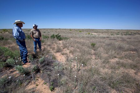 Cowboys desert earth