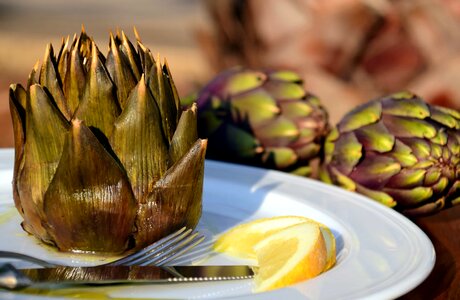Artichoke calorie daylight
