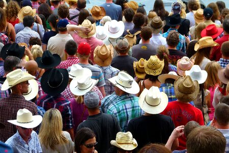 Calgary stampede canada photo