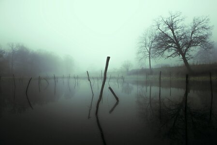 Mist photo