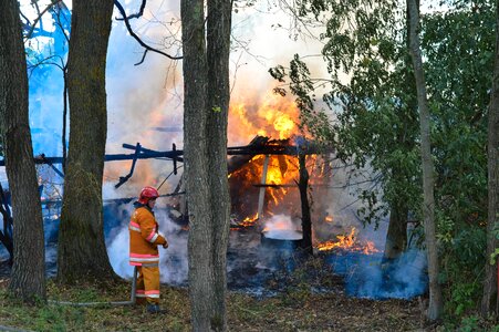 Trees burn stew photo