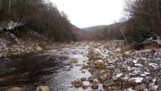 Dolly Sods Big Stonecoal Trail Camping photo