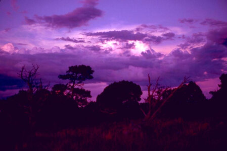 Purple Skies over Carlsbad Caverns National Park, New Mexico