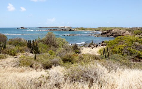 Nature landscape beach