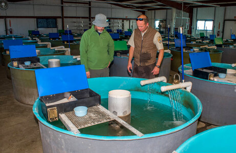 Recirculating tanks photo