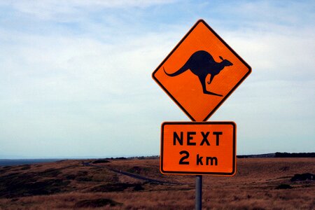 Warning australia kangaroo photo