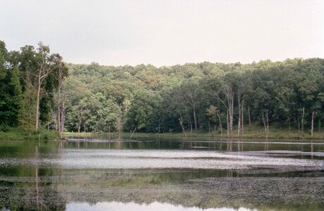 Domestic national park park