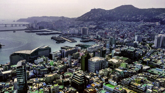 Busan Cooperative Fish Market and Jagalchi Market in Busan, South Korea