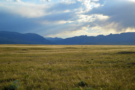 Black-footed Ferret reintroduction site