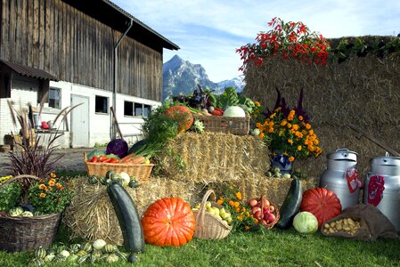 Autumn autumn season catholic