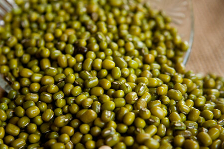 Moong Beans photo