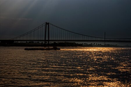 Gold rhine bridge golden