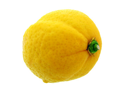 Isolated Lemon photo