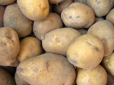 Diet dietary food