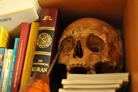 Skull and other relics from an artists atelier No.1 photo