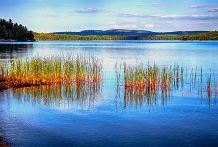 Canadian nature blue park