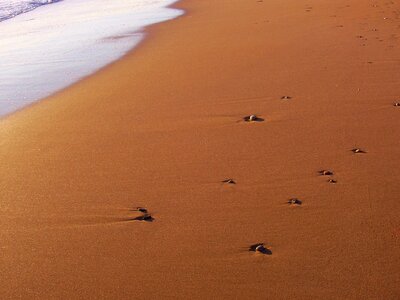Nature sea vacations