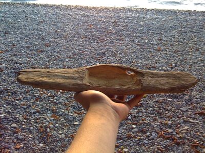 Wood hand coast