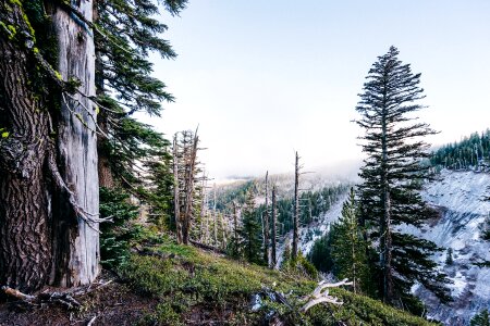 Majestic View of Mt. Hood on a bright, sunny day photo