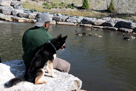 Man with dog photo