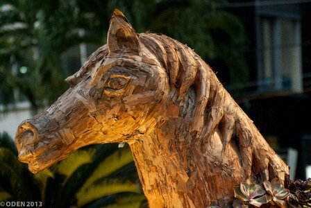 Horse head animal wooden