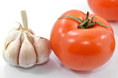 Agriculture garlic herb