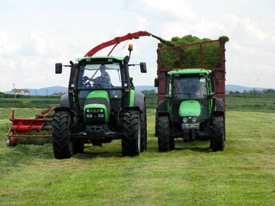 Harvest grass field photo