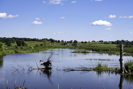 Marsh Pond Landscape at Horicon Marsh photo