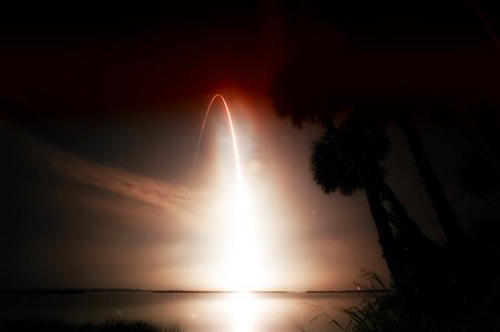 Rocket silhouettes palm trees