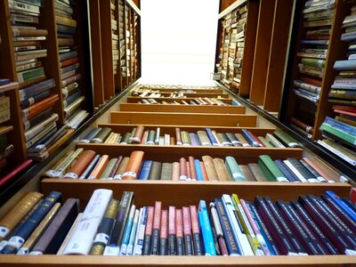 Library books shelf