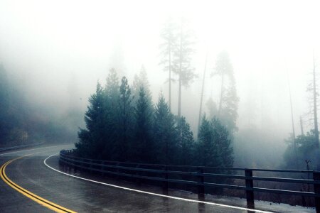 Asphalt fog landscape