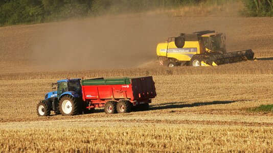 Sky agriculture harvest photo