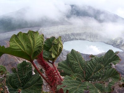 Caldera umbrella volcano