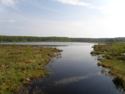 Daryino lake in Novki, Russia