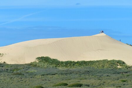 Beach north jutland sea