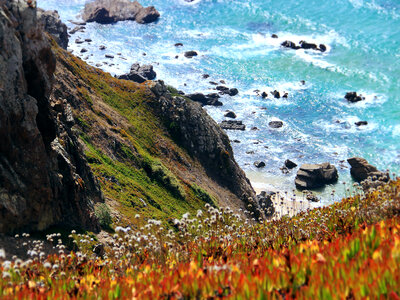 Landscape of the cliffs and the seaside photo