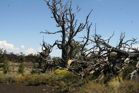 Craters of the Moon National Monument