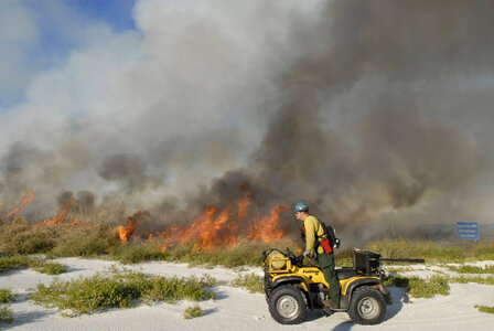 Prescribed burn-1