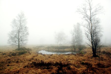 Meadow mood atmosphere photo