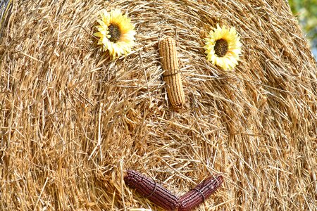 Corn decoration face photo