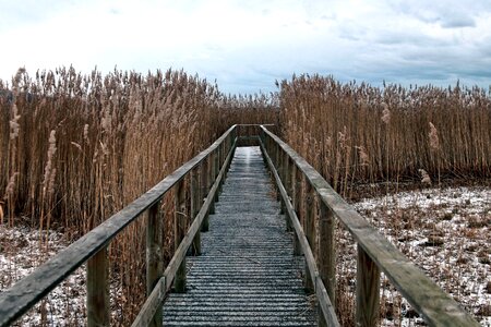 Bridge landscape natural habitat