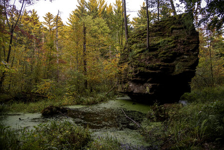 Fall Colors in the Bog at Rocky Arbor State Park photo