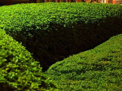 Garden size japan