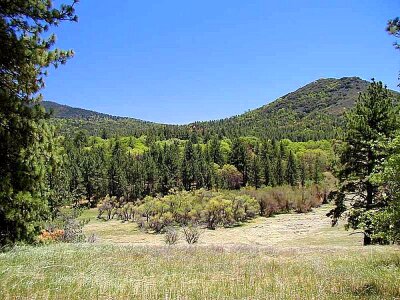 Blue blue sky camp