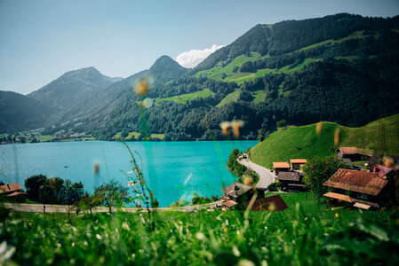 Alps Mountain Lake photo