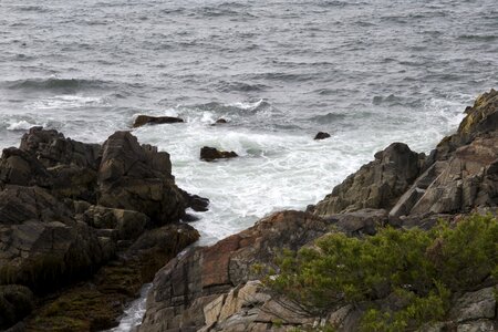 Coast ocean rocks photo